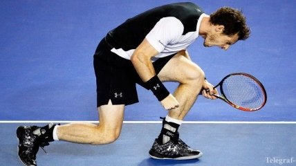 Australian Open. Маррей в упорной борьбе обыграл Раонича (Фото)
