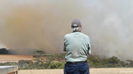 Беспощадная стихия: в Австралии оценили размер убытков от пожаров