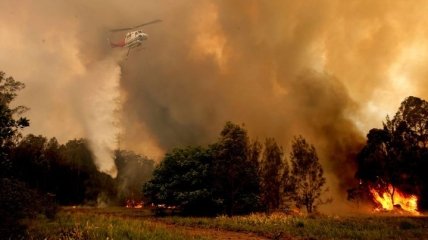 33 великі лісові пожежі сталися за минулі вихідні - Держлісагентство