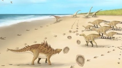 Найдены следы одного из последних динозавров: как они выглядят