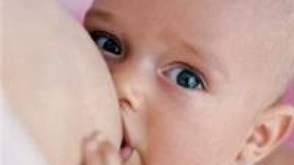 Чем дольше беременность и период грудного вскармливания, тем больше мозг младенца