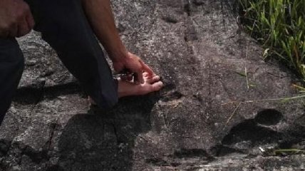 В Китае обнаружили гигантские окаменелые следы человека 