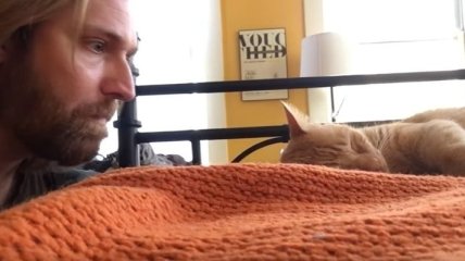 Парень отомстил своему коту, который каждый день будит его в 4 утра (Видео)