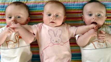 Рева рассказал о соцпомощи при рождении двойни или тройни