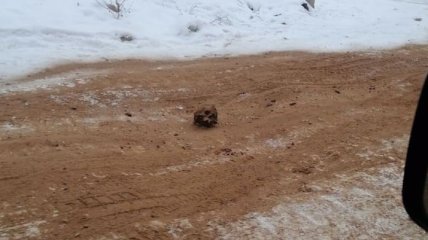 Обледеневшую дорогу в России посыпали песком с человеческими останками