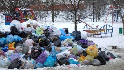 Во Львове вывезли почти половину мусора