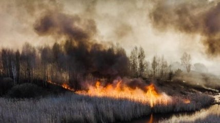 У Чорнобильській зоні відчуження продовжують гасити пожежу