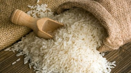 В Крыму 7 тысяч гектаров засеют рисом