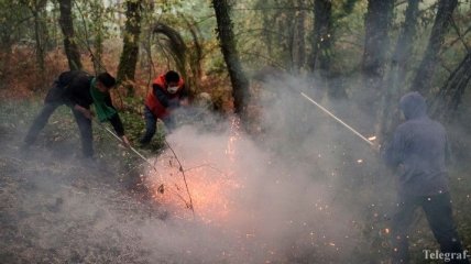 Пожар на Корсике уже уничтожил 2 тысячи гектаров леса