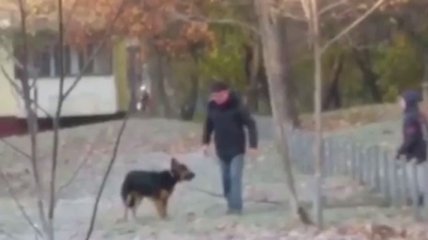 В Харькове мужчина избивал собаку на глазах у сына, невзирая на его слезы