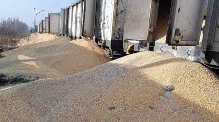 "Все їм на шару": у Польщі невідомі розкрили вагони з українською кукурудзою та висипали її на землю (відео)