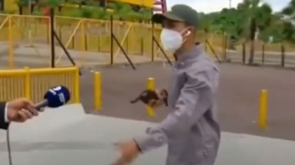 В Эквадоре грабитель с пистолетом обчистил журналистов в прямом эфире (видео)
