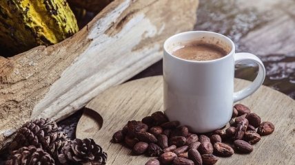 Чим корисне какао для організму людини