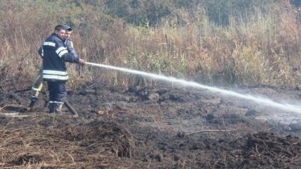 В Черкасской области полмесяца тушат пожар на торфяниках