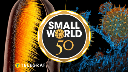 Ілюстративне фото