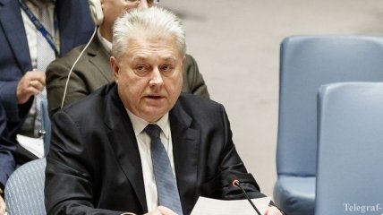 Ельченко назвал друзей Украины в ООН