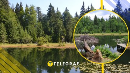 Дике озеро в Карпатах