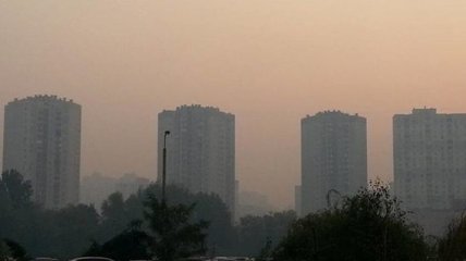 Почему даже незначительное загрязнение воздуха опасно для здоровья