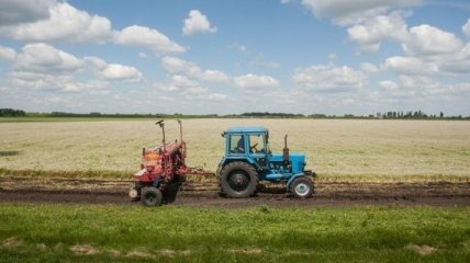 В Украине началась земельная реформа