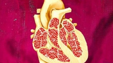 Медики раскрыли целебные свойства граната для вашего сердца