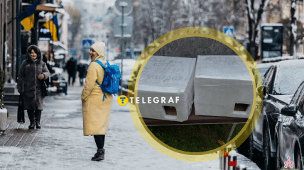 Українка показала саморобні хатки для котів