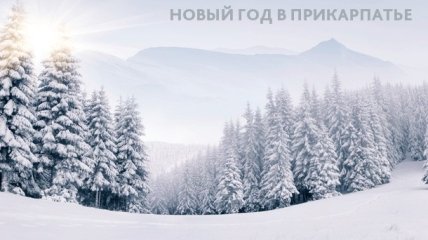 Новый год в Прикарпатье: Трускавец