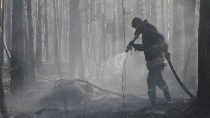 Ситуация с пожарами: огонь уничтожил 5% Чернобыльского заповедника