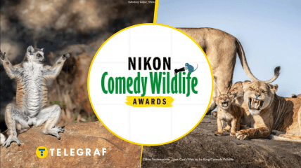 Иллюстративное фото