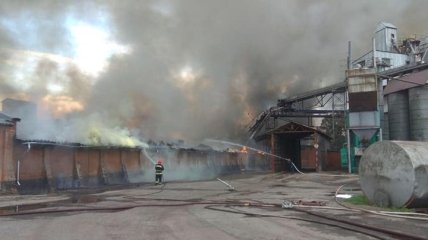 ГСЧС потушили пожар на территории Нежинского жирокомбината