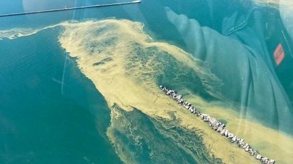 Возле Одессы море внезапно зазеленело - купаться не советуют