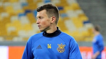 Ротань признал, что пенальти в ворота сборной Украины был