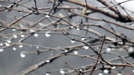 Погода в Украине 19 марта: во всех областях - дожди