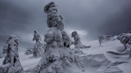Снежные "монстры" на границе двух государств (Фото)