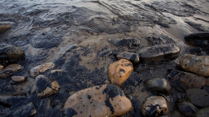 Российские власти пытаются скрыть крупный разлив нефти в Черном море, — эколог