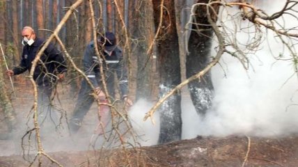 Ситуация в Чернобыльской зоне: пожары продолжаются на территории шести лесничеств