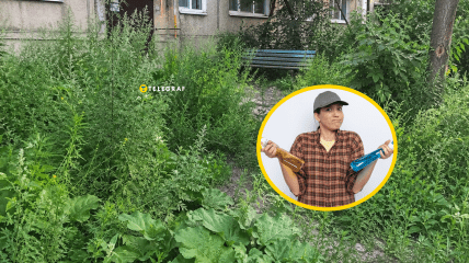 Эта плохая трава может расти быстрее, чем вы себе представляете