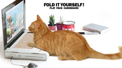 Разработан ноутбук для кошек 