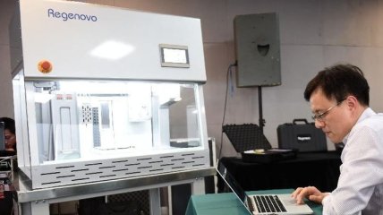 Ученые создали уникальные частицы печени на 3D-принтере