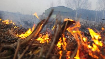 На выходных будет самый высокий уровень пожарной опасности в Украине