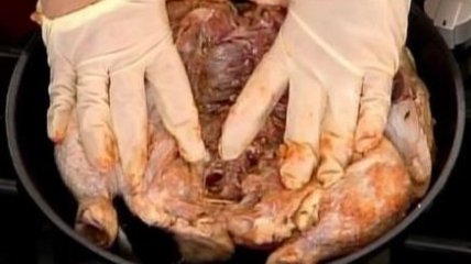 Дьявольский цыпленок