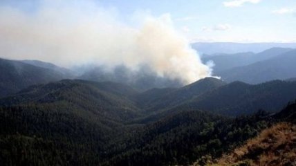 В Грузии украинский самолет помогает гасить лесные пожары