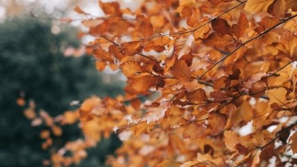 Праздник 6 ноября: народные приметы и запреты