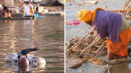 Ужасы священной реки Ганг отобьют желание ехать в Индию (Фото)