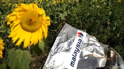 Катастрофа MH17: РФ заявляет о готовности участвовать в "объективном расследовании"