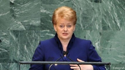 Президент Литвы не исключает отставки нового правительства