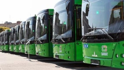 В "Борисполе" готовятся к запуску автобусов МАЗ