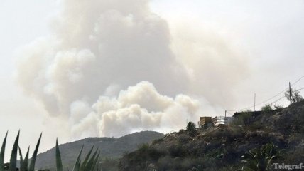 На Канарах из-за лесных пожаров эвакуировали почти 5 тыс. человек