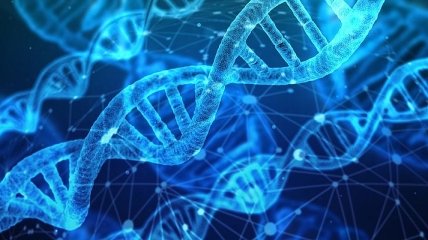 Закладено у ДНК: нові результати дослідження допоможуть у боротьбі з раком