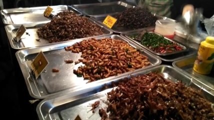 Новый "вкусный" тренд: В мире растет потребление пищи из насекомых