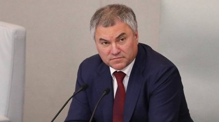РФ и Венгрия хотят совместно "защищать нацменшинства" в Украине
